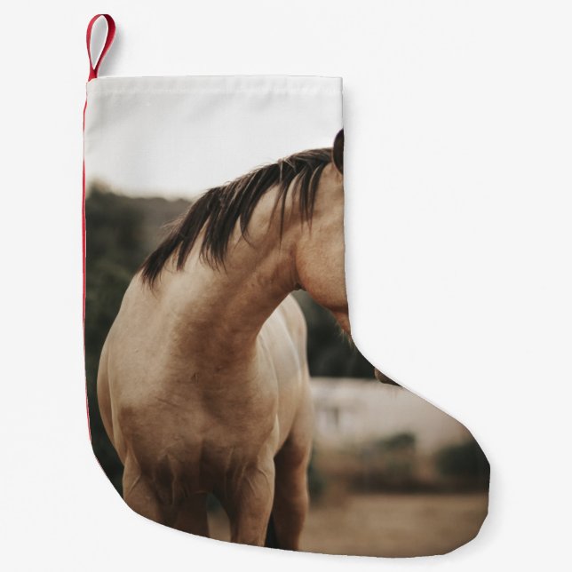 MEIA DE NATAL PEQUENA CAVALO MARROSO (Frente)