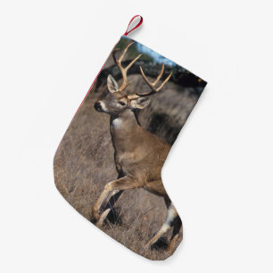 Meia De Natal Pequena Cervos da cauda branca