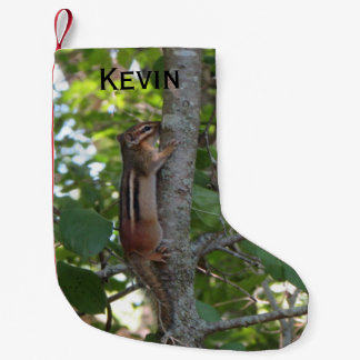 Meia De Natal Pequena Chipmunk nas madeiras