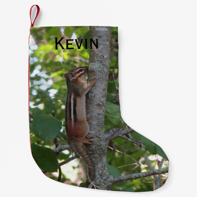 Meia De Natal Pequena Chipmunk nas madeiras (Frente)