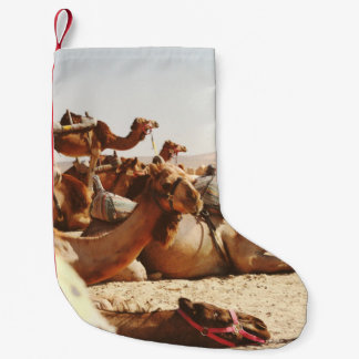 MEIA DE NATAL PEQUENA CINCO CAMELOS NO CAMPO