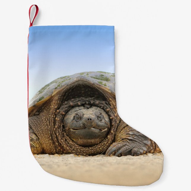 MEIA DE NATAL PEQUENA CINZA E TURTLE (Frente)
