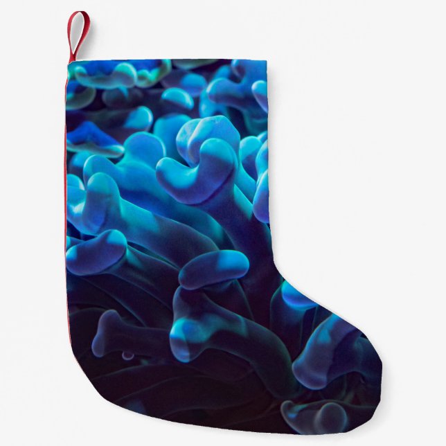 Meia De Natal Pequena Coral azul (Frente)
