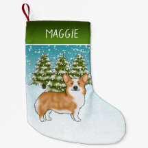 Corgi Galês Vermelho de Pembroke Floresta de Inver