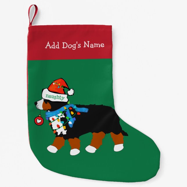 Meia De Natal Pequena Costume de Cachorro de Montanha Bernese no Natal (Frente)