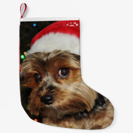Meia De Natal Pequena Cute Yorkshire Terrier com Santa Hat