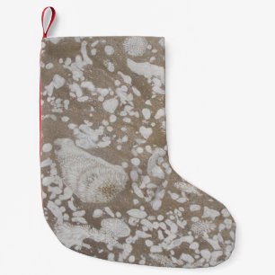 Meia De Natal Pequena Desfiladeiro fóssil Devonian