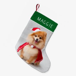 Meia De Natal Pequena Elegante Foto de Cachorro de Estimação Verde com N