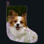 Meia De Natal Pequena Envoltório romântico do papai noel do retrato do<br><div class="desc">Um cão branco e vermelho de Papillon que senta-se em um prado cercado por Cuckooflower. O Papillon é uma raça do alerta, a amigável e a muito esperta do brinquedo. Este doggy bonito pequeno foi fotografado por Katho Menden, este papai noel a decoração do envoltório que do xmas é uma...</div>