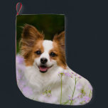 Meia De Natal Pequena Envoltório romântico do papai noel do retrato do<br><div class="desc">Um cão branco e vermelho de Papillon que senta-se em um prado cercado por Cuckooflower. O Papillon é uma raça do alerta, a amigável e a muito esperta do brinquedo. Este doggy bonito pequeno foi fotografado por Katho Menden, este papai noel a decoração do envoltório que do xmas é uma...</div>