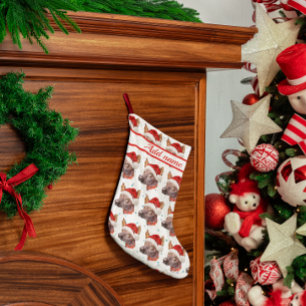 Meia De Natal Pequena Estrelas de Natal da Raça de Cão Sem Pelo Mexicano