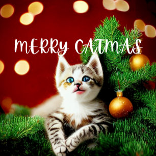 Meia De Natal Pequena Feliz Catmas Purrfect Christmas Stocks