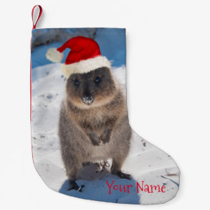 Meia De Natal Pequena Feliz e Bonito Quokka no Natal da Praia