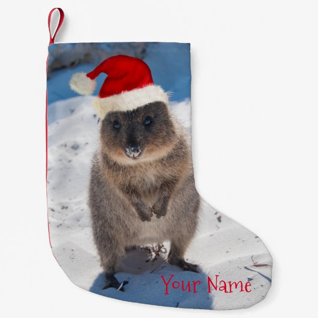 Meia De Natal Pequena Feliz e Bonito Quokka no Natal da Praia (Frente)