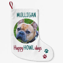 Feliz HOWLFriday Green Red Christmas Pet Photo