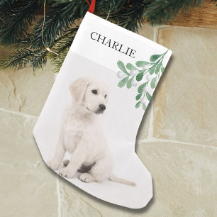 Meia De Natal Pequena Feriado de Natal de Pet Dog de Nome Personalizado