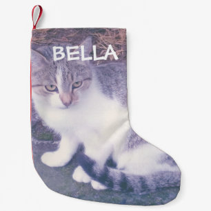 Meia De Natal Pequena Feriado personalizado de animais de estimação pe