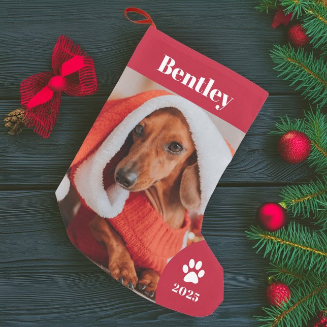 Meia De Natal Pequena Feriado Personalizado de Foto em Pet (Criador carregado)