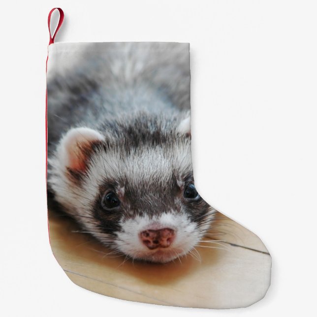 Meia De Natal Pequena Ferret Boco Sable (Frente)