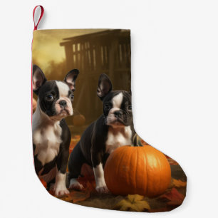 Meia De Natal Pequena Filhote de Boston Terrier Delícia de Outono Abóbor