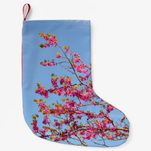 MEIA DE NATAL PEQUENA FLOR VERMELHO E AMARELO SOB O CÉU AZUL
