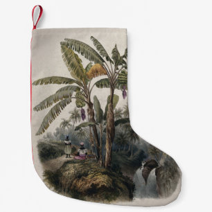 Meia De Natal Pequena Floresta Antiga de Bananeiras Tropicais   Bota Vin