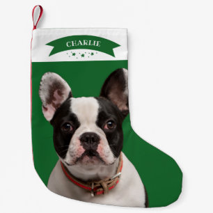 Meia De Natal Pequena Fofa Foto Personalizada Simples Cachorro Pet