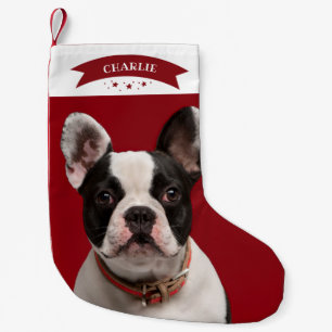 Meia De Natal Pequena Fofinho Cachorro Pet Foto Personalizada Simples