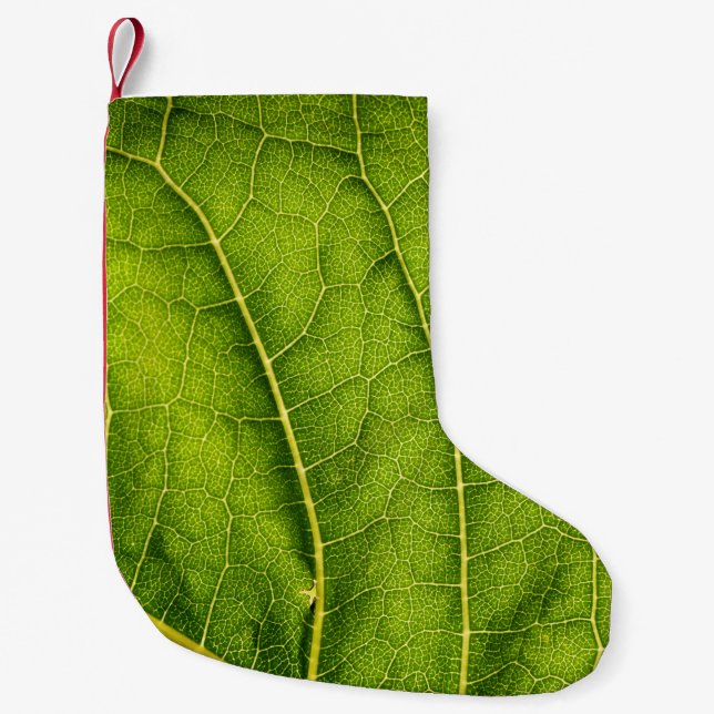 Meia De Natal Pequena Folha verde (Frente)