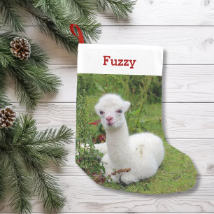 Meia De Natal Pequena Foto bonito e nome do animal de estimação do