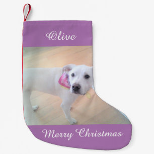 Meia De Natal Pequena Foto de Cachorro Adorável Vestindo Sma Rosa-Rosa