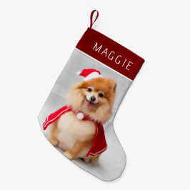 Meia De Natal Pequena Foto de Cachorro de Estimação Vermelho Elegante co