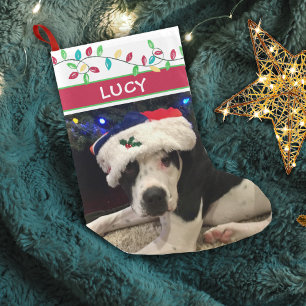 Meia De Natal Pequena Foto de Cachorro Luzes de Feriado de Aquarela