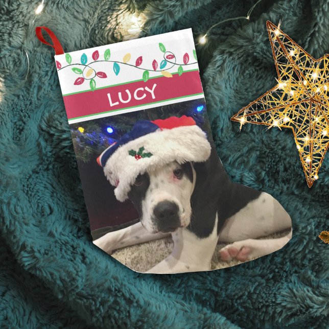 Meia De Natal Pequena Foto de Cachorro Luzes de Feriado de Aquarela (Criador carregado)