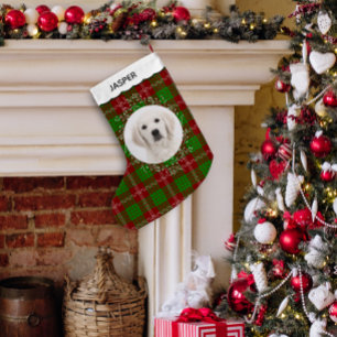 Meia De Natal Pequena Foto de Cachorro Pet Vermelho Verde Xadrez Tartan