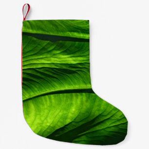Meia De Natal Pequena Foto de encerramento da folha verde