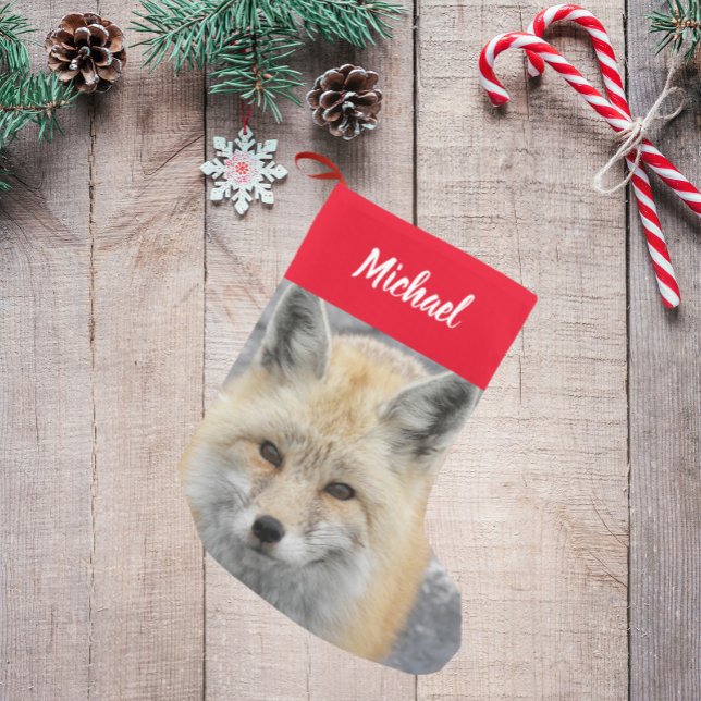 Meia De Natal Pequena Foto de Fox Vermelha Cura com Nome (In Situ)