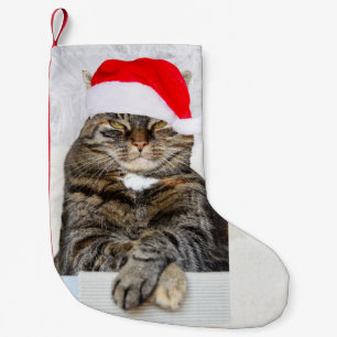 Meia De Natal Pequena Foto de Humbug de Cat Natal