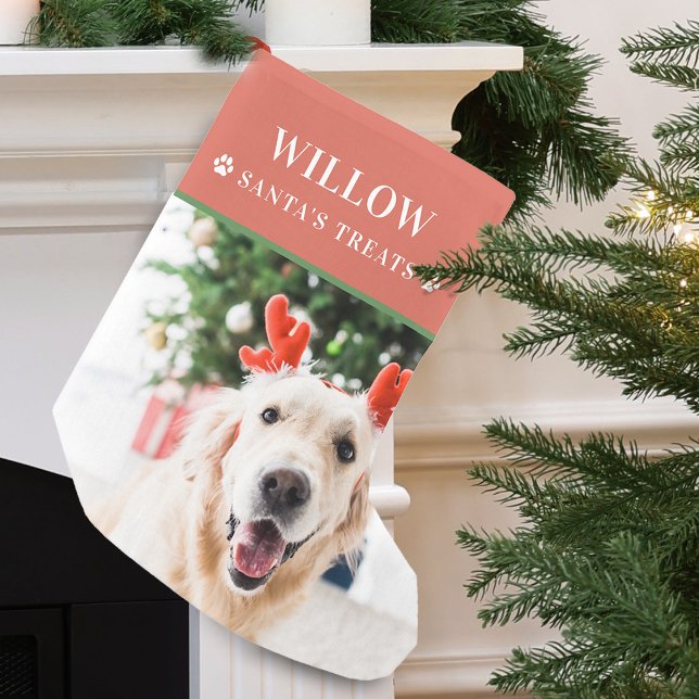 Meia De Natal Pequena Foto de Natal Moderna de Cachorro (Dog Christmas Photo Modern Small Christmas Stocking)