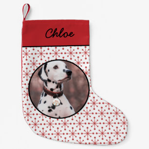 Meia De Natal Pequena Foto de Pet de Padrão Vermelho Moderno do Século M