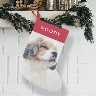 Meia De Natal Pequena Foto do Cão de Natal   Na moda Vermelho moderno