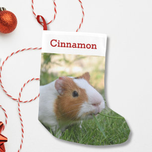 Meia De Natal Pequena Foto e nome personalizados de cochonilha guineense