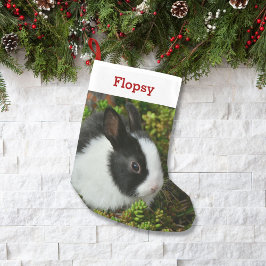 Meia De Natal Pequena Foto e nome personalizados do coelho coelho coelho