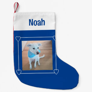 Meia De Natal Pequena Foto fotógrafa doce Cachorro Azul e Branco