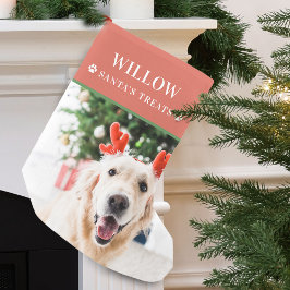 Meia De Natal Pequena Foto Moderna de Natal de Cães