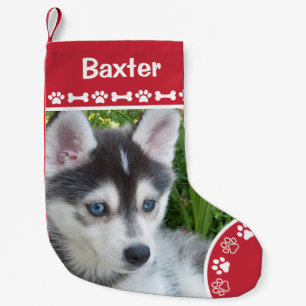 Meia De Natal Pequena Foto Personalizada do Cachorro com Nome e Monogram