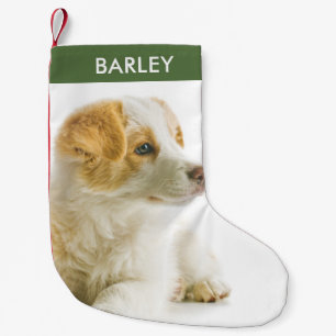 Meia De Natal Pequena Foto Personalizada do Cachorro Pet
