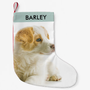 Meia De Natal Pequena Foto Personalizada do Cão em Festa Natalícia Fofa 