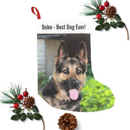 Meia De Natal Pequena Foto personalizada do cão German shepherd, Nome do