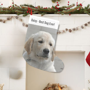 Meia De Natal Pequena Foto personalizada e nome do cão do golden